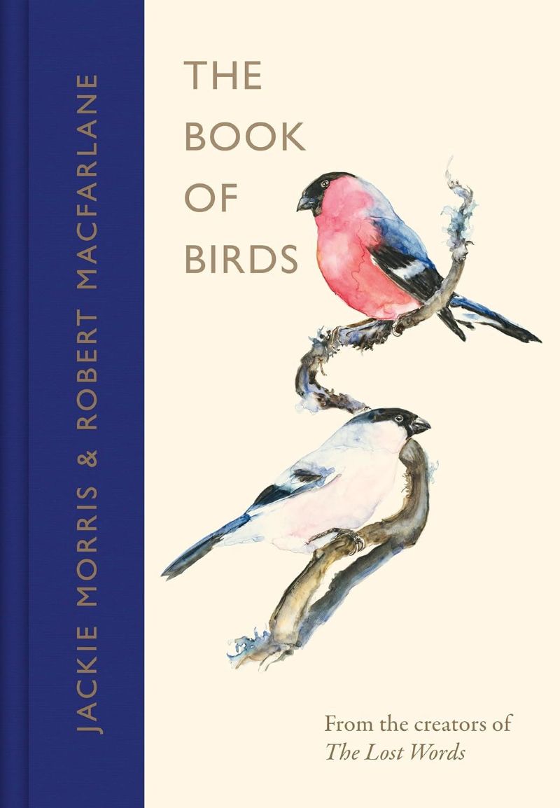 Llyfr 'The Book of Birds'
