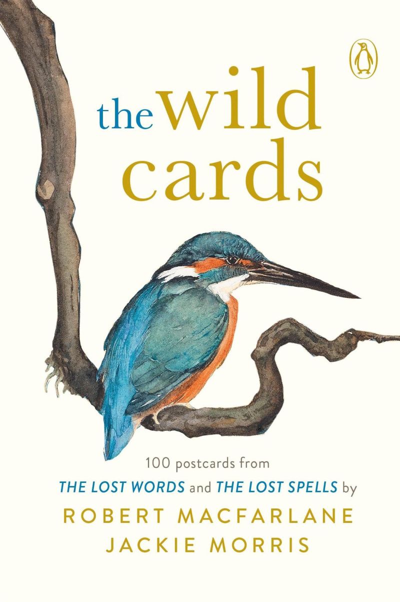 Wild Cards Postcard Box