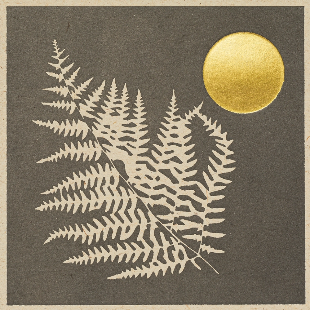 Fern Matches