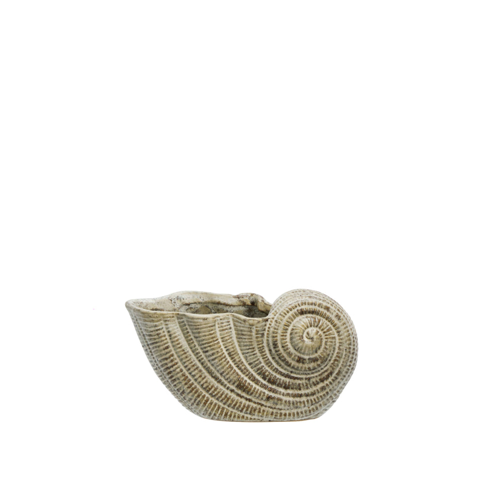 Conch Ceramig