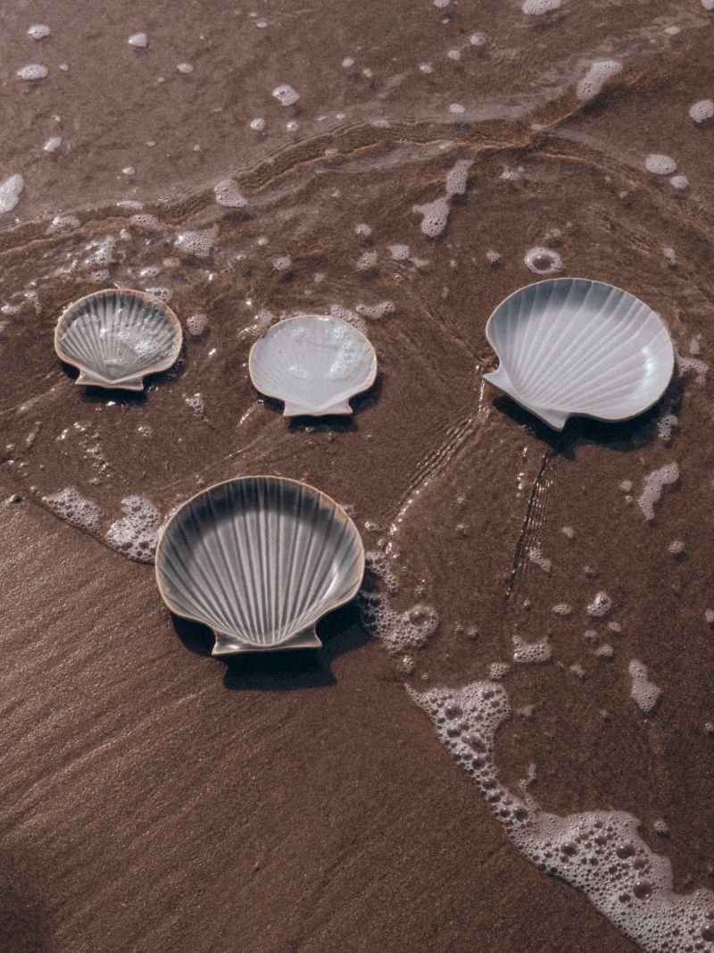 Stoneware Shell Tray | Blue