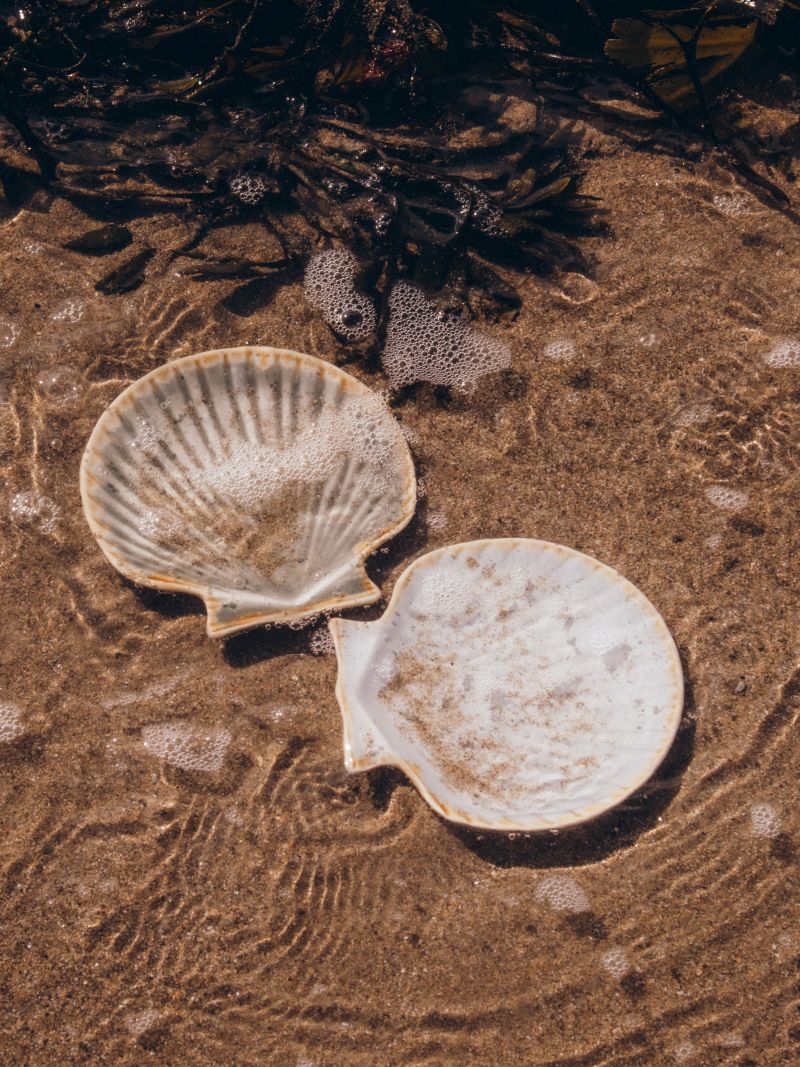 Stoneware Shell Tray | Green