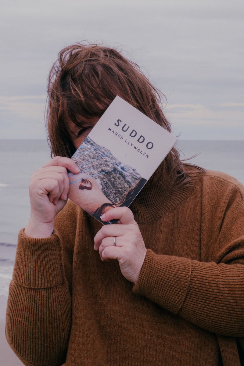 Suddo by Mared Llywelyn