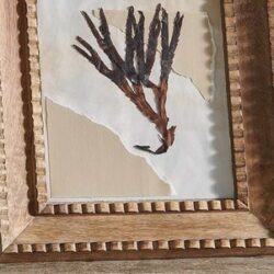 Hansika Mango Wood Frame